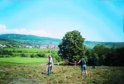 Szénacsinálás