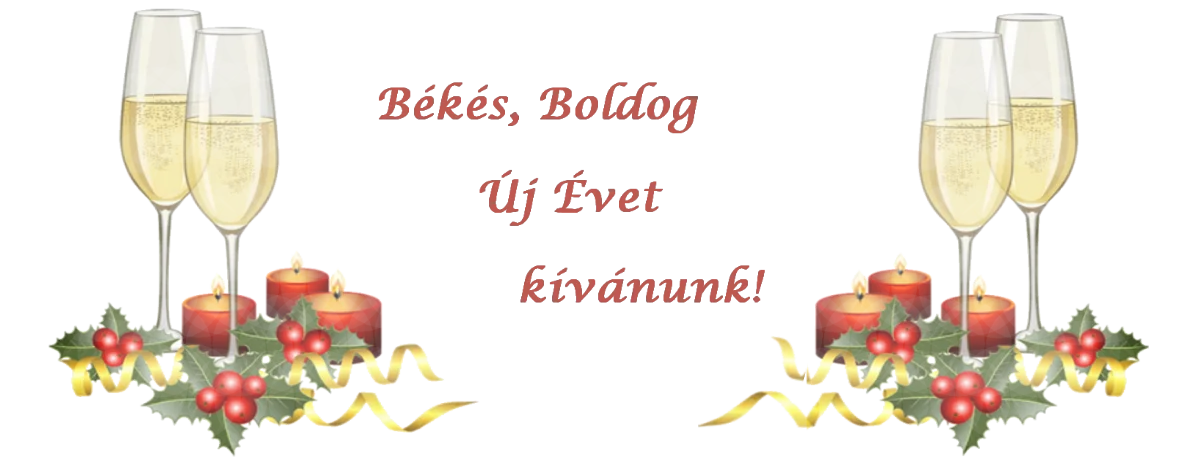 Békés Boldog Új Évet kívánunk! www.szilveszter-erdely.ro