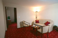 Kolozsvár - Ary Hotel**** - Kolozs Megye