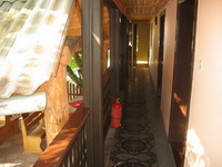 Kiskoh - Medve-barlang - Daniadis Panzió - Bihar Megye