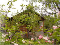 Kiskoh - Medve-barlang - Maduta Traian Kulcsosház - Bihar Megye