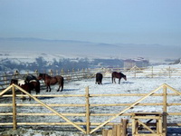 Tatrang - Kristály Villa - Brassó Megye