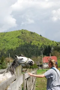 Deság - Zetevár Panzió és Lovas Központ - Hargita Megye