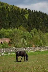 Deság - Zetevár Panzió és Lovas Központ - Hargita Megye