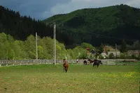 Deság - Zetevár Panzió és Lovas Központ - Hargita Megye