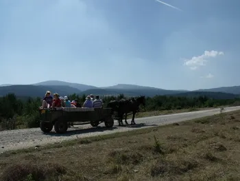 Csíkmadaras - Kis Sólyom Vendégház - Hargita Megye