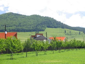 Szállás Csíkszereda - Csíksomlyó - Park Hotel - Hargita megye