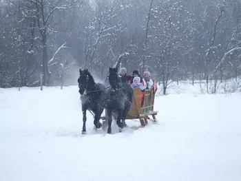 Cazare Estelnic - Pensiunea Reba - Judetul Covasna