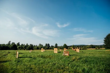 Szállás Kápolnásfalu - Magic Hargita Resort Panzió - Hargita Megye