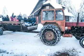 Szállás Madarasi Hargita - Madarasi Menedékház - Sípályák, Hargita megye