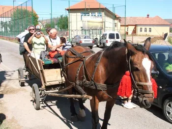 Szállás Kalotaszeg - Magyarlóna - Bálint-gazda Vendégház - Kolozs Megye