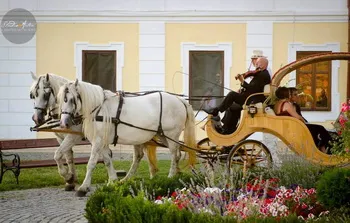 Szállás Marosugra (Ogra) - Haller Kastélyszálló - Haller-kastély - Maros Megye