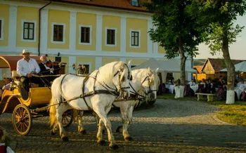 Szállás Marosugra (Ogra) - Haller Kastélyszálló - Haller-kastély - Maros Megye