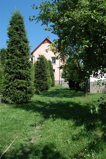 Szállás Sepsibükszád (Bixad) - Sólyomkő Panzió - Kovászna Megye (Háromszék)