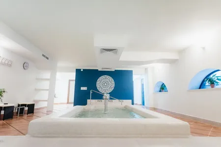 Cazare Odoerheiu Secuiesc - Pensiunea Pava (Villa Vitae) Wellness & Spa*** - judetul Harghita