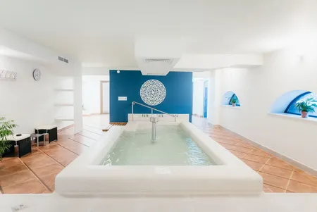 Cazare Odoerheiu Secuiesc - Pensiunea Pava (Pensiunea Pava) Wellness & Spa*** - judetul Harghita