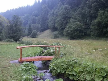 Szállás Varság - Szőkelak Guesthouse