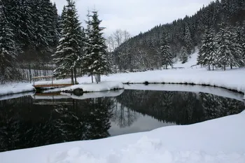 Szállás Varság - Szőkelak Guesthouse