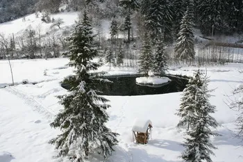 Szállás Varság - Szőkelak Guesthouse