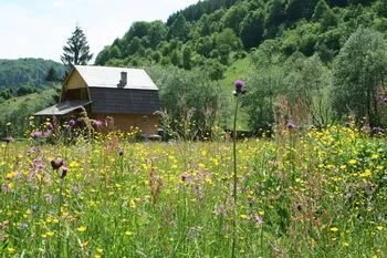 Szállás Varság - Szőkelak Guesthouse