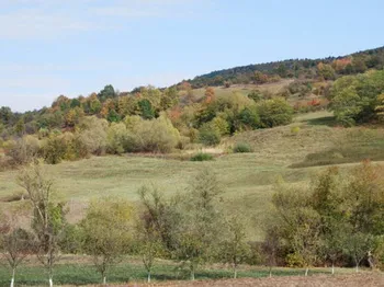 Cazare Zetea - Pensiunea Berci - Judetul Harghita