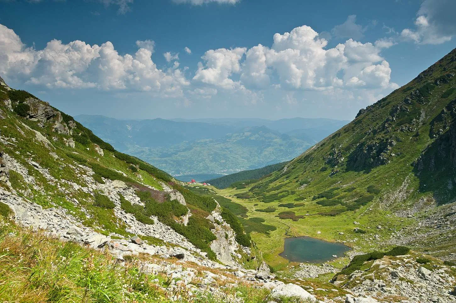 Radnai-havasok Nagy-Pietrosz Természeti Rezervátum