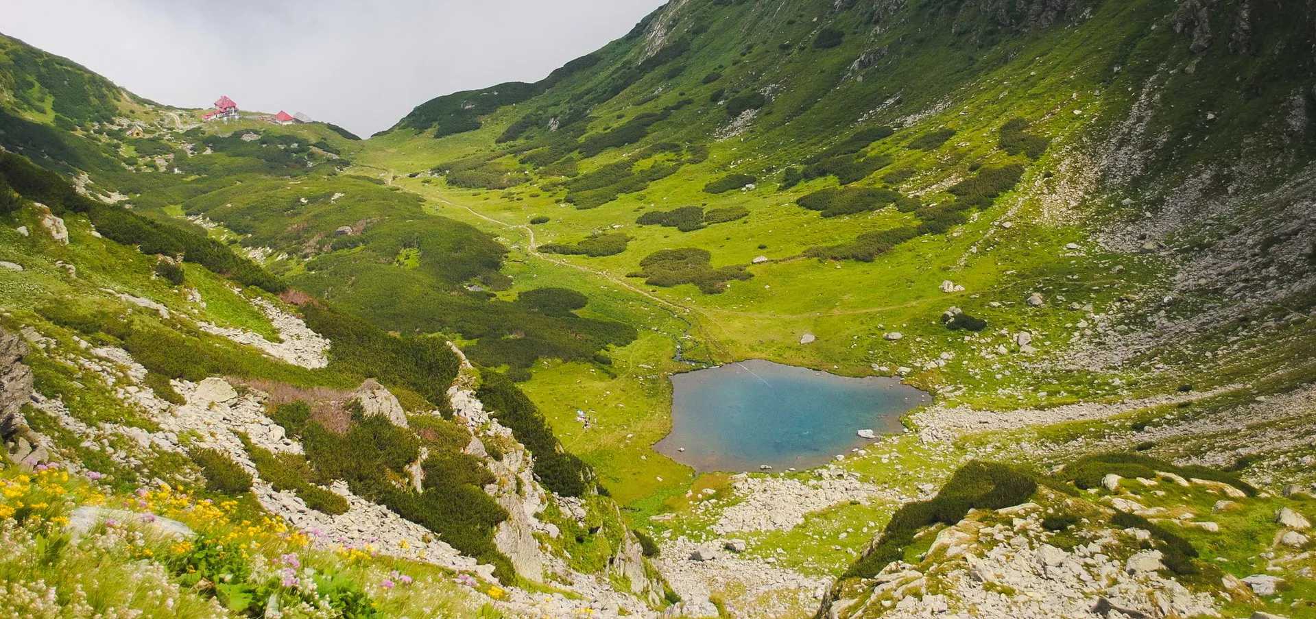 Tőzegboglár a Radnai-havasokban